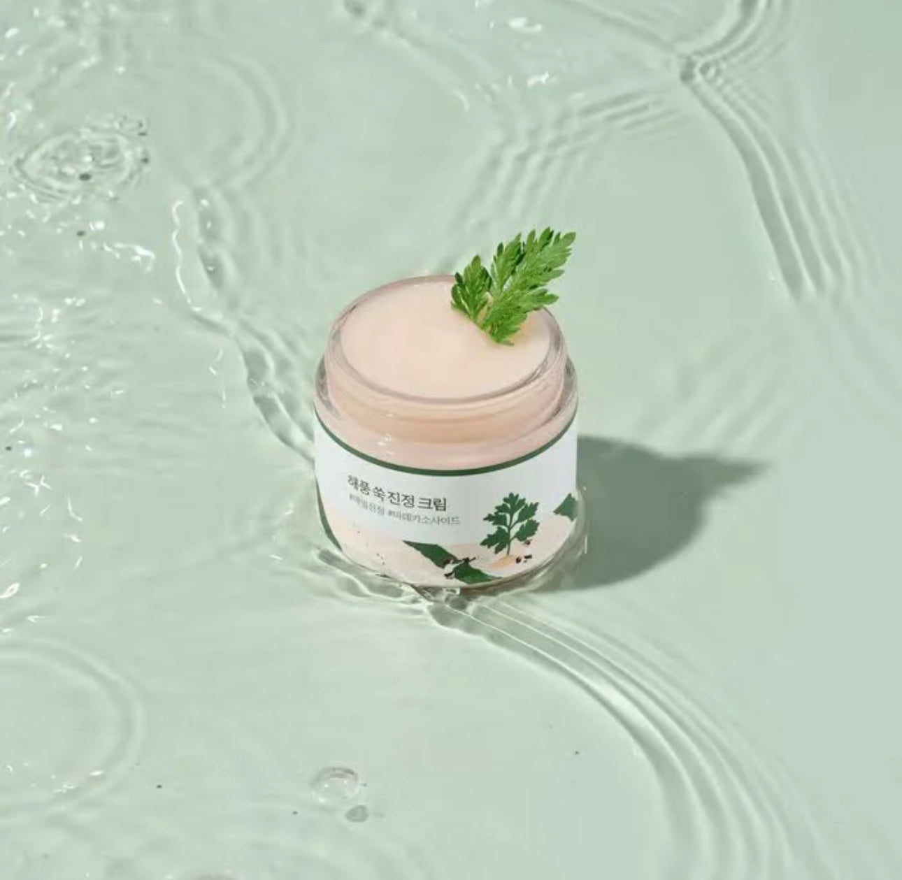 Round Lab Mugwort Calming Cream 80ml